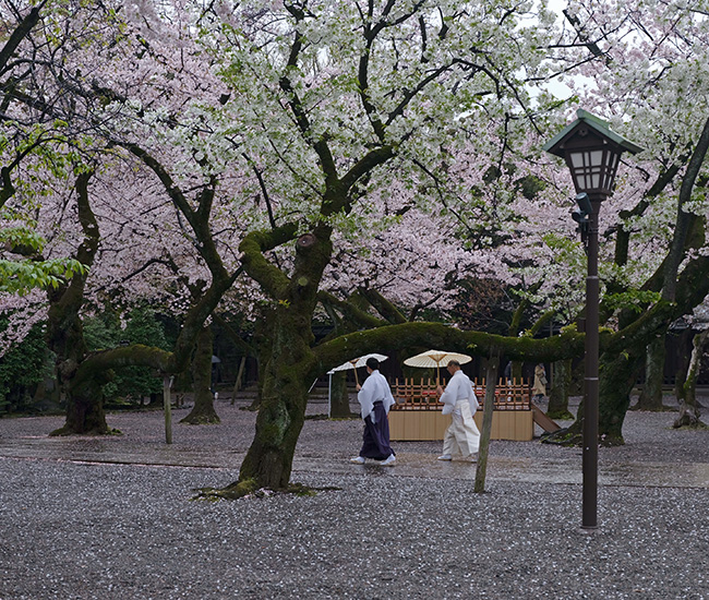 JAPÓN